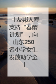 友邦人寿支持“春蕾计划”，向山东250名小学女生发放助学金